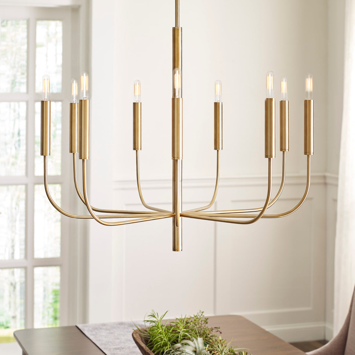 ED Ellen DeGeneres Brianna Chandelier