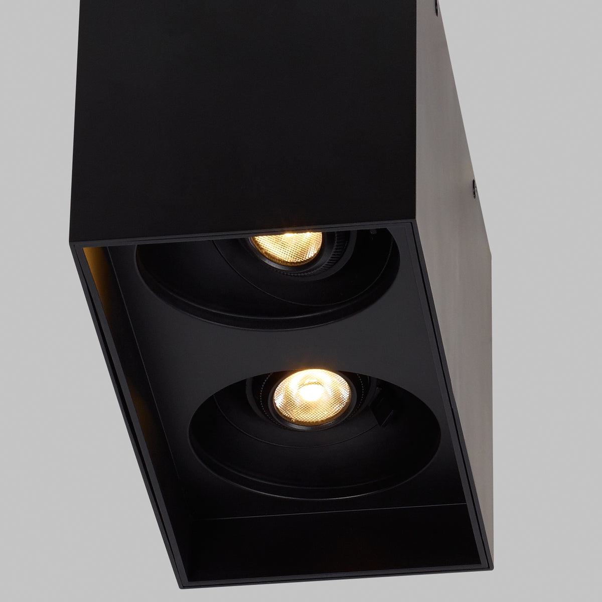 Sean Lavin Exo 6 Dual Flush Mount