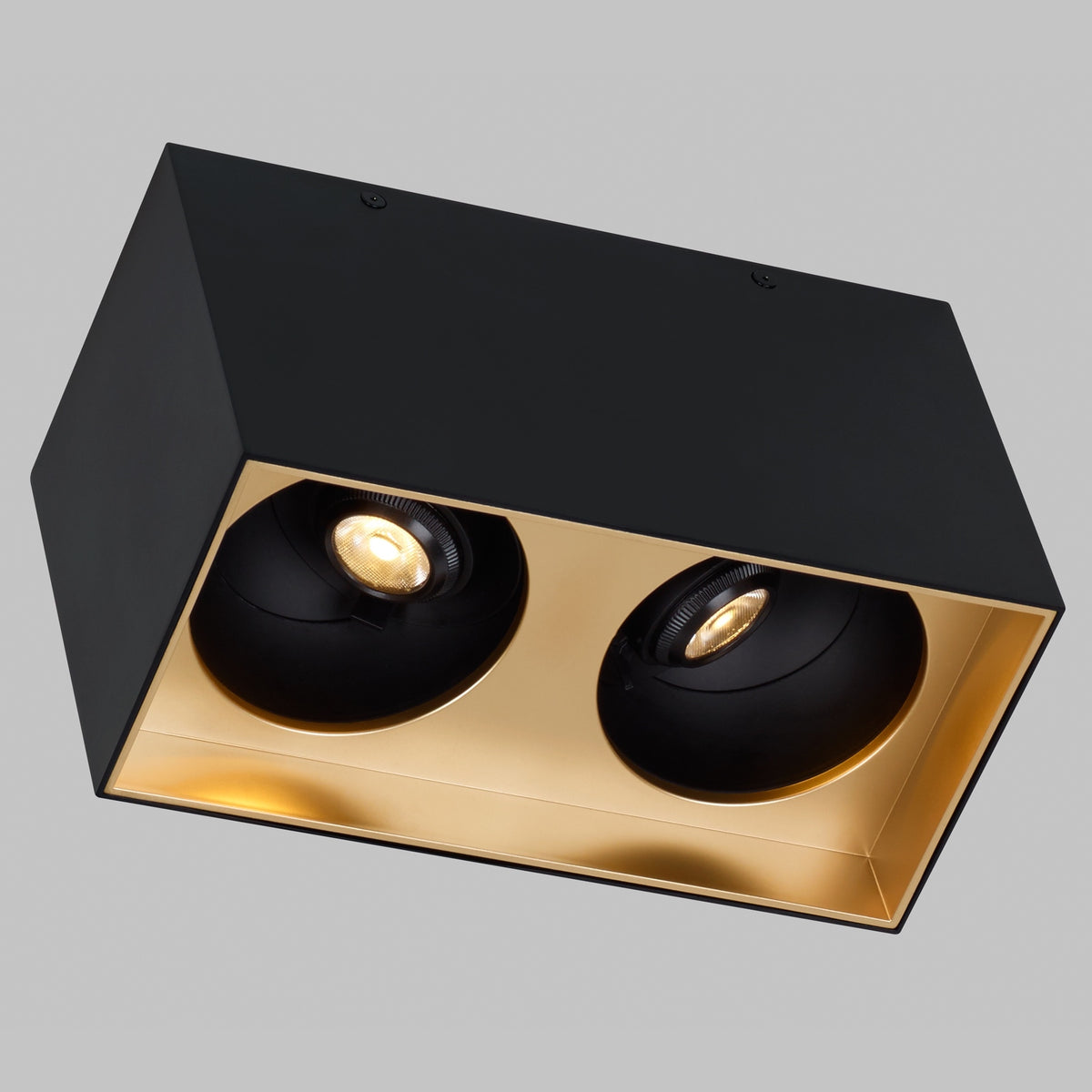 Sean Lavin Exo 6 Dual Flush Mount