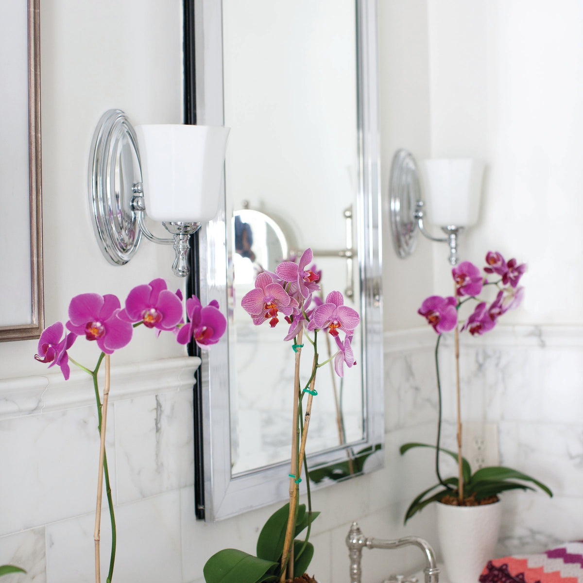 Hinkley Shelly Vanity Wall Sconce Collection