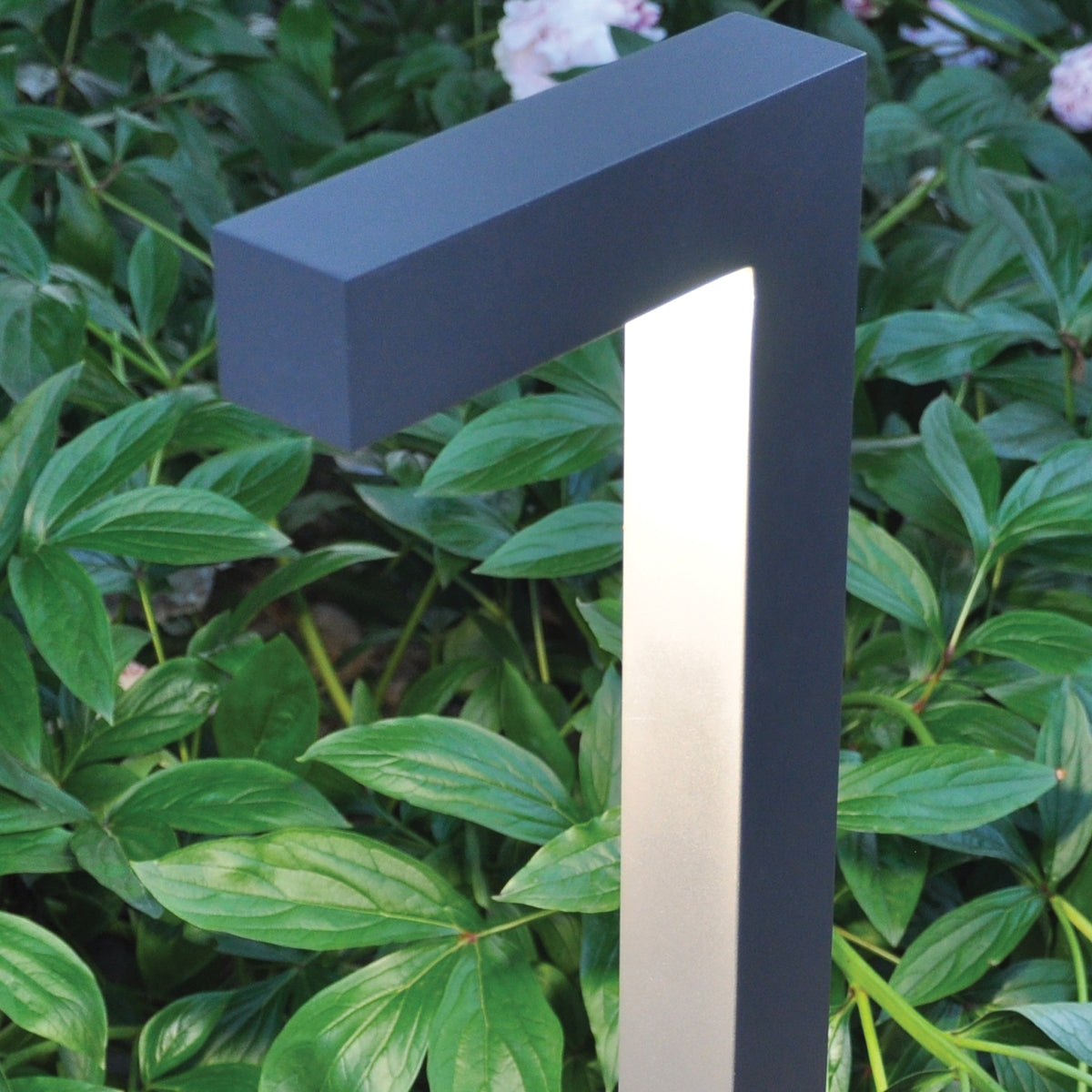 Sean Lavin Strut 42 Outdoor Bollard