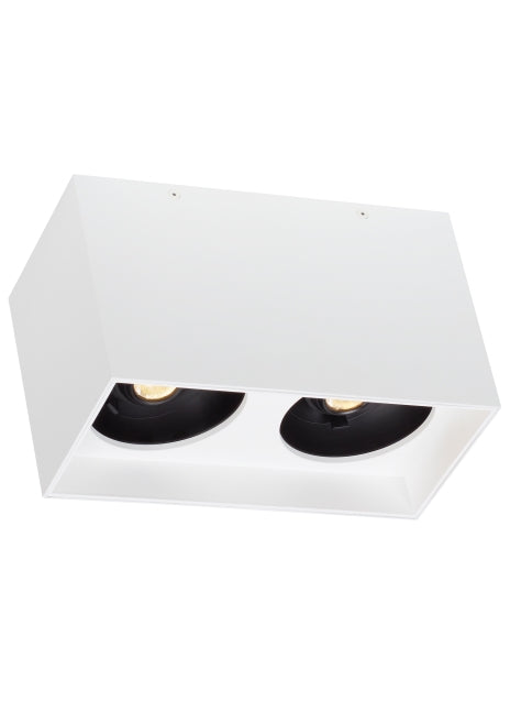 Sean Lavin Exo 6 Dual Flush Mount